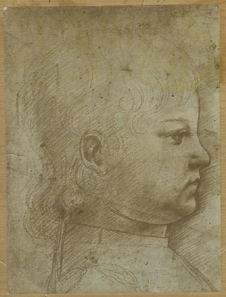 Maestro della Pala Sforzesca - Ritratto di Massimiliano Sforza? - Profilo di una testa di bambino - Disegno - Milano - Biblioteca Ambrosiana