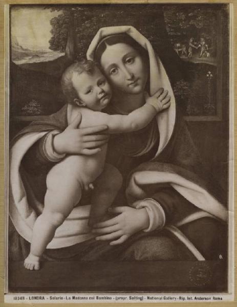 Solario, Andrea (copia da) - Madonna con Bambino - Dipinto - Tempera e olio su tavola - Londra - National Gallery