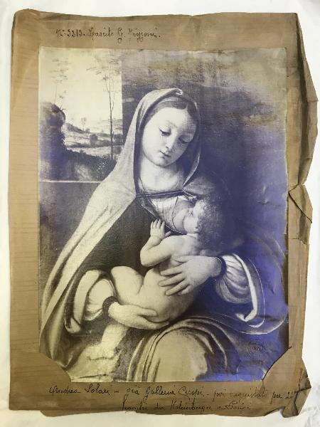 Solario, Andrea - Madonna con Bambino e san Rocco - Dipinto - Tempera e olio su tavola