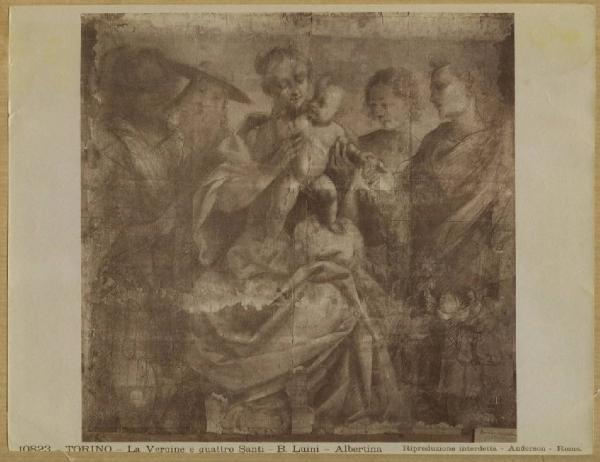 Scuola di Gaudenzio Ferrari (Bernardino Lanino?) - Madonna con Bambino e quattro santi - Disegno - Cartone preparatorio - Torino - Galleria dell'Accademia Albertina