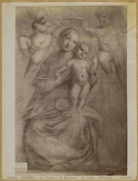 Lanino, Bernardino - Madonna con Bambino incoronata da due putti - Disegno - Torino - Galleria dell'Accademia Albertina