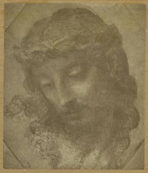Disegnatore italiano inizio sec. XVI - Testa di Cristo - Disegno - Vienna - Albertina