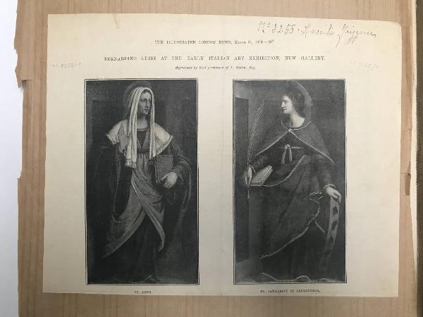 Luini, Bernardino - Santa Caterina d'Alessandria (Polittico Torriani) - Dipinto su tavola - Londra - Exhibition of Early Italian Art