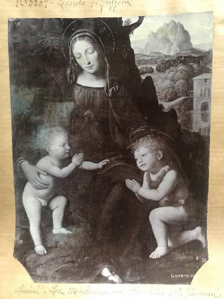 Luini, Bernardino - Madonna con Bambino e san Giovannino - Dipinto su tavola - Londra