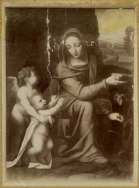 Luini, Bernardino - Madonna con Bambino sorretto da un angelo (Madonna di Menaggio) - Dipinto