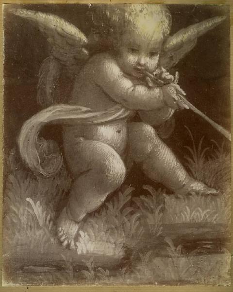 Lanino, Bernardino - Putto che suona il flauto - Dipinto su tavola