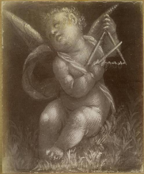 Lanino, Bernardino - Putto che suona il triangolo - Dipinto su tavola