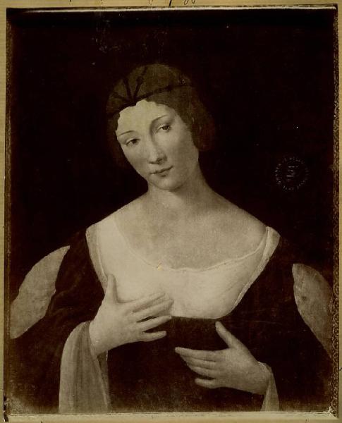 Conti, Bernardino de' - Ritratto femminile - Dipinto - Pavia - Pinacoteca Malaspina