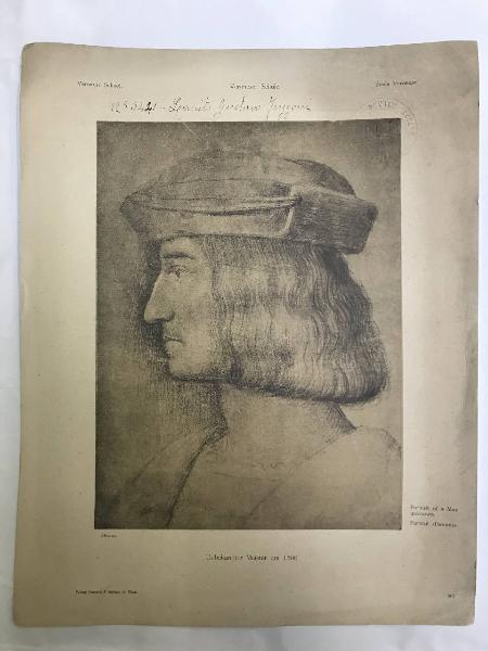 Luini, Bernardino - Ritratto maschile di profilo con cappello - Studio - Disegno - Vienna - Albertina