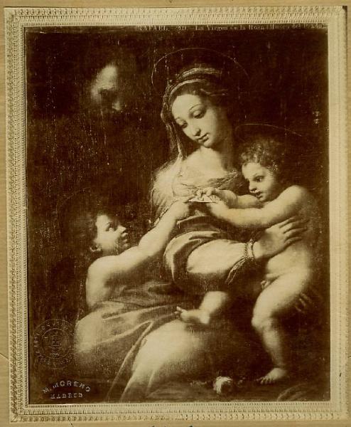 Sanzio, Raffaello (bottega) - Sacra Famiglia con san Giovannino (Madonna della rosa) - Dipinto - Olio su tavola trasportata su tela - Madrid - Prado