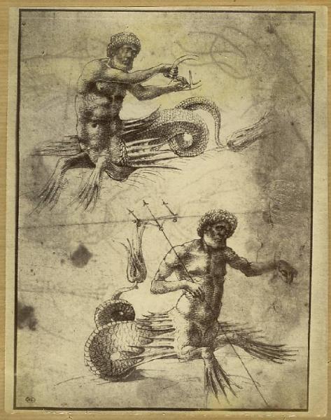 Autore veneto seconda metà sec. XV - Due tritoni (Dei marini) - Figure mitologiche - Disegno