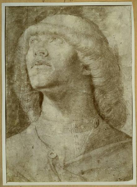 Autore veneto sec. XV - Ritratto maschile - Disegno - Francoforte - Staedelmuseum Kunstinstitut