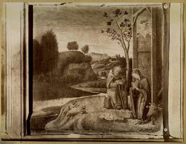 Bellini, Giovanni - Natività di Gesù - Dipinto - Olio su tavola - Pesaro - Musei Civici - Pinacoteca