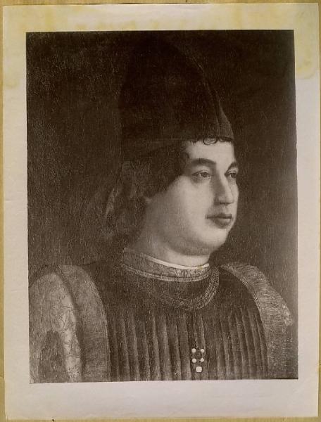 Bellini, Gentile - Ritratto di Vespasiano Gonzaga (Ritratto maschile) - Dipinto - Olio su tavola - Bergamo - Accademia Carrara