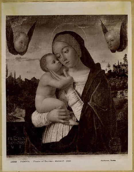 Morone, Francesco - Madonna con Bambino - Dipinto su tela - Padova - Pinacoteca