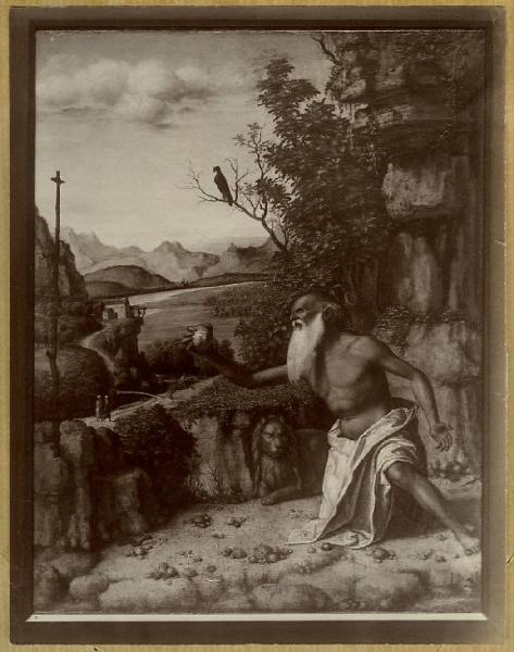 Cima, Giovanni Battista detto Cima da Conegliano - San Girolamo nel deserto - Dipinto - Olio su tavola