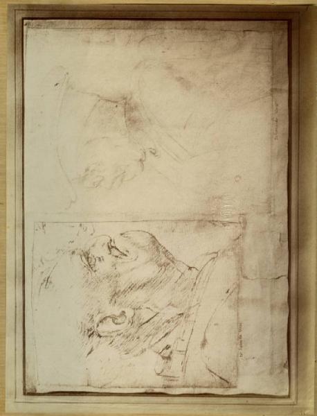 Leonardo da Vinci - Studi di due teste di vecchio di profilo - Due figure grottesche - Disegno - Milano - Biblioteca Ambrosiana