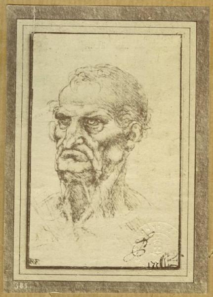 Leonardo da Vinci - Studio di testa di vecchio - Disegno - Parigi - Louvre - Département des Arts graphiques