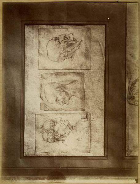 Leonardo da Vinci - Studi di tre teste di vecchio di profilo - Disegno - Milano - Biblioteca Ambrosiana