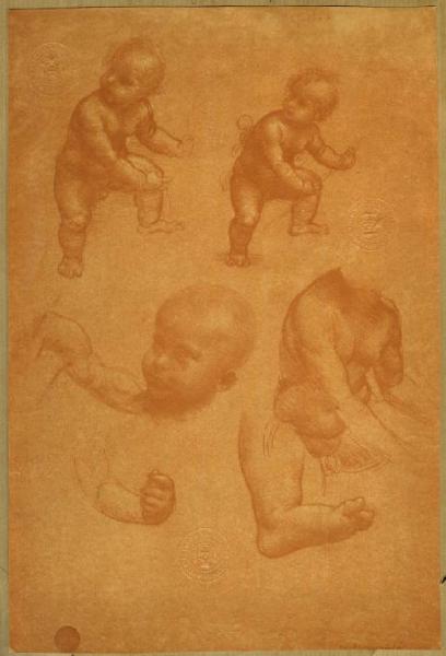 Leonardo da Vinci - Studi per Gesù Bamino - Disegno - Venezia - Galleria dell'Accademia