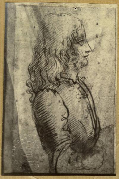 Leonardo da Vinci (scuola) - Studio di giovane di profilo - Disegno - Milano - Biblioteca Ambrosiana