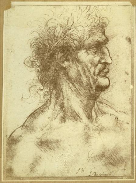 Leonardo da Vinci - Studio di busto di vecchio di profilo - Disegno - Torino - Boblioteca Reale