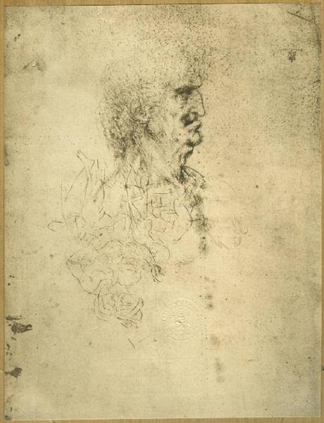 Leonardo da Vinci - Studio di profilo di vecchio, schizzi per Madonna con Bambino e sant'Anna - Disegno - Londra - British Museum - Department of Prints and Drawings