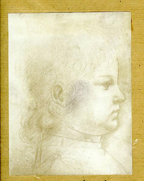 Maestro della Pala Sforzesca - Ritratto di Massimiliano Sforza? - Profilo di una testa di bambino - Disegno - Milano - Biblioteca Ambrosiana