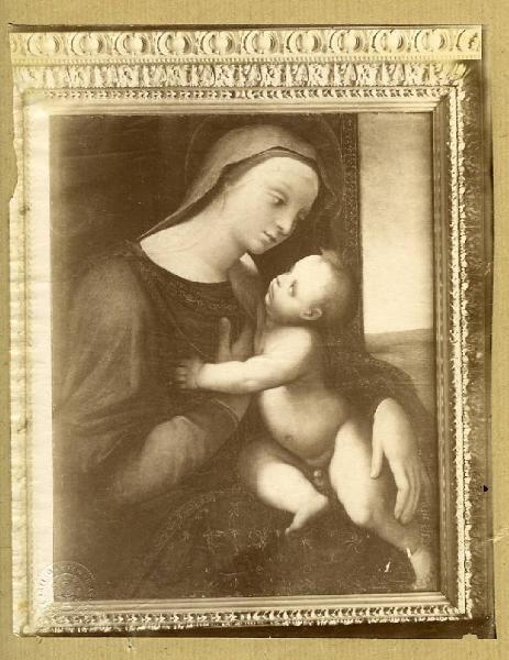 Pacchia, Girolamo del - Madonna con Bambino - Dipinto su tavola - Berlino - Proprietà Wesendonck