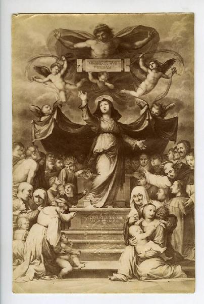 Bartolomeo della Porta detto Fra' Bartolomeo - Madonna della Misericordia - Dipinto su tavola - Lucca - Pinacoteca Nazionale di Palazzo Mansi
