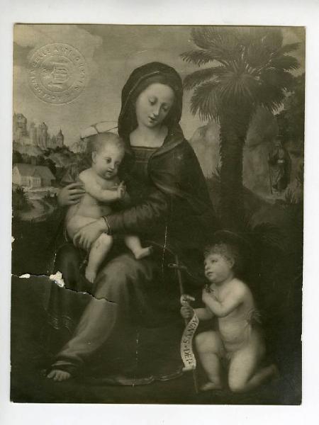 Pittore fiorentino prima metà sec. XVI (Puligo?) - Madonna con Bambino e san Giovannino - Dipinto su tavola