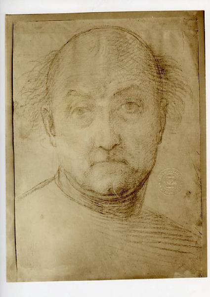 Bartolomeo della Porta detto Fra' Bartolomeo - Studio di testa virile - Disegno