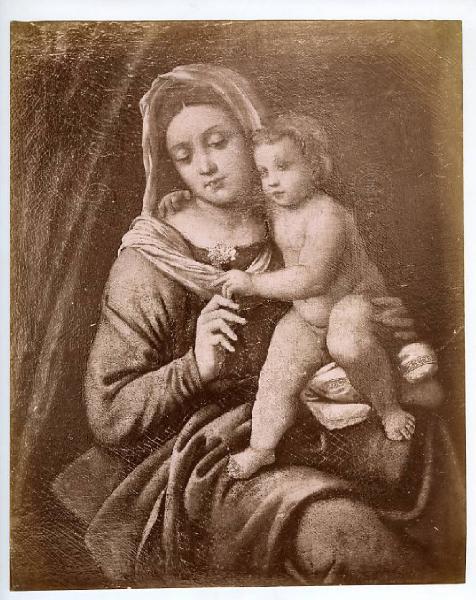 Caroto, Giovanni Francesco - Madonna con Bambino - Dipinto - Budapest - Collezione Lederer