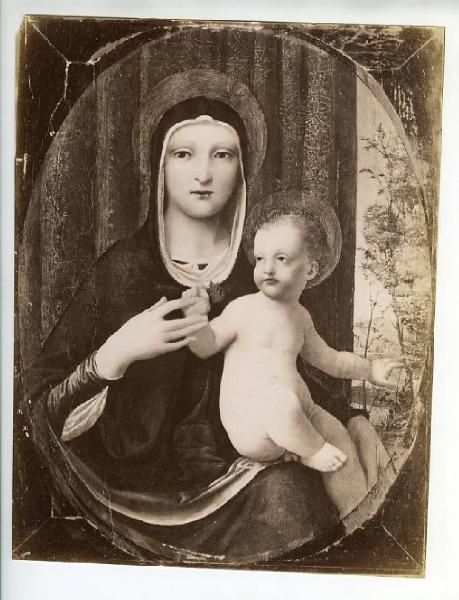 Pittore cremonese prima metà sec. XVI - Madonna con Bambino - Dipinto su tavola - Londra - Collezione Mond