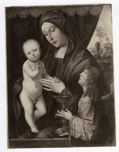 Raibolini Francesco detto Francia - Madonna con Bambino e angelo - Dipinto su tavola