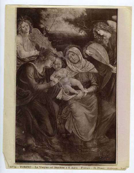 Ferrari, Gaudenzio - Madonna con Bambino , sant'Anna e angeli musici (Polittico di Sant'Anna) - Dipinto - Torino - Reale Pinacoteca (Galleria Sabauda)