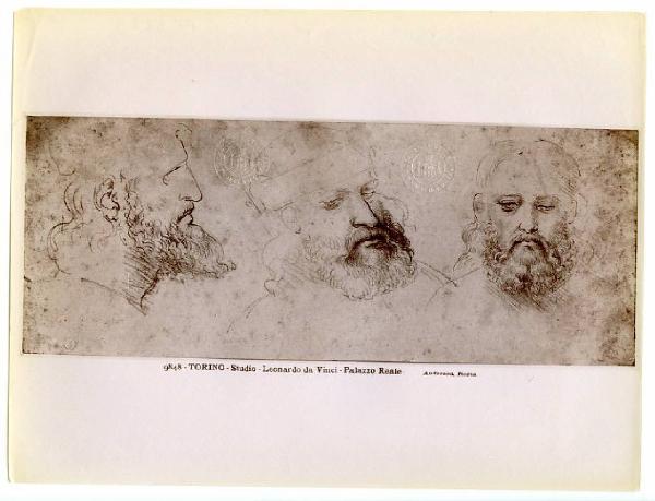 Leonardo da Vinci - Testa maschile con barba, visione di profilo, di tre quarti e frontale - Disegno - Torino - Boblioteca Reale