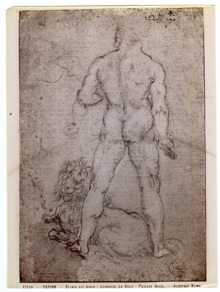 Leonardo da Vinci - Ercole visto di schiena con leone sdraiato ai piedi - Disegno - Torino - Boblioteca Reale