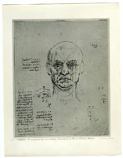 Leonardo da Vinci - Studio delle proporzioni del volto e dell'occhio - Disegno - Torino - Boblioteca Reale