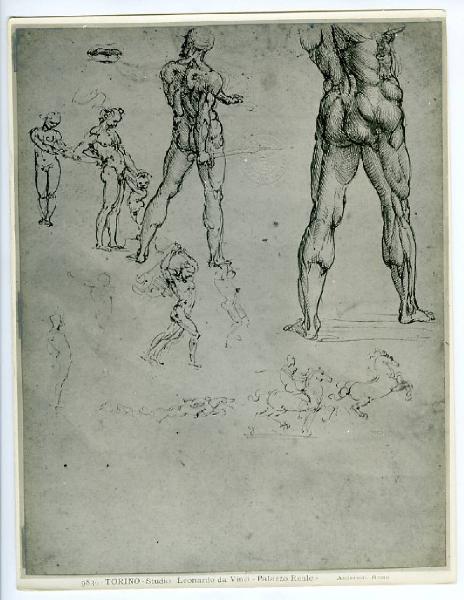 Leonardo da Vinci - Studi per Battaglia di Anghiari e altre figure - Disegno - Torino - Boblioteca Reale