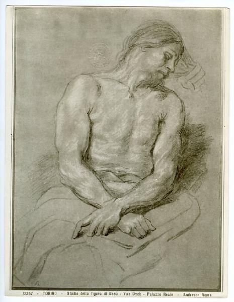 Van Dyck, Antoon? - Studio per incoronazione di spine - Disegno - Torino - Boblioteca Reale