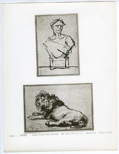 Rembrandt, Harmensz Van Rijn - Busto di Imperatore - Leone sdraiato - Disegno - Torino - Boblioteca Reale