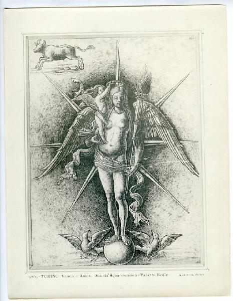 Mocetto, Girolamo - Il segno zodiacale di Venere - Disegno - Torino - Boblioteca Reale