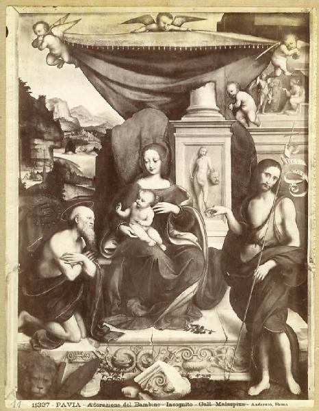 Rizzoli, Giovan Pietro detto Giampietrino - Madonna con Bambino tra san Girolamo in adorazione e san Giovanni Battista - Dipinto - Pavia - Duomo