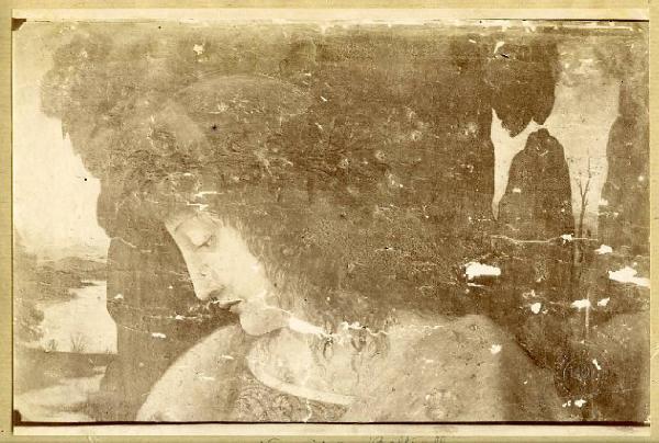 Boltraffio, Giovanni Antonio (attr.) - Narciso alla fonte - Dipinto - Olio su tavola - Firenze - Uffizi