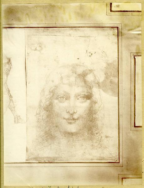 Autore leonardesco - Testa femminile - Disegno - Milano - Biblioteca Ambrosiana