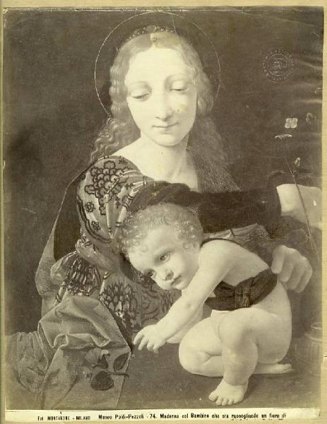 Boltraffio, Giovanni Antonio - Madonna con Bambino che raccoglie un fiore - Dipinto - Olio e tempera su tavola - Milano - Museo Poldi Pezzoli