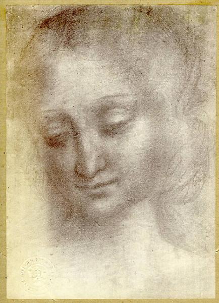 Pedrini, Giovanni detto Giampietrino - Testa femminile (Testa di Madonna) - Disegno - Cambridge - The Fitzwilliam Museum