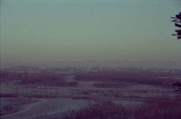 Sesto San Giovanni - Parco Nord, settore Montagnetta e settore Est - Panoramica dall'alto da casa di Sandra Macchi / Campo - Percorso ciclopedonale - Via Clerici - Binario Breda - Rotonda Sofore - Filari di alberi (pioppi cipressini e Cannocchiale degli ippocastani) - Boschi - Inverno - Brina - Sullo sfondo palazzi di Bresso e di Cinisello Balsamo