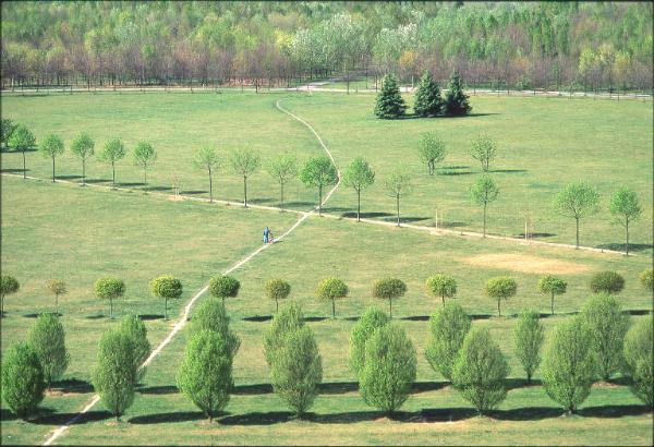 Cinisello Balsamo - Parco Nord, settore Est - Veduta dall'alto della Grande Rotonda (Gorki) - Filari di alberi, percorsi ciclopedonali e aree boschive - Al centro del prato una persona conduce a mano una bicicletta